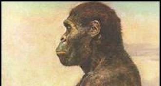 Эволюционная теория дарвина