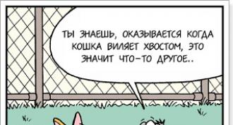 Най-често срещаните думи в английския език Често срещани думи в английския език