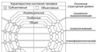 Psicofisiologia degli stati di Ilyin