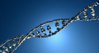 What is dna - deoxyribonucleic acid