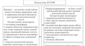 State monitoring in the Russian Federation