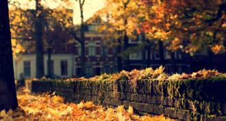 Description of autumn nature and mood: a miniature essay on the theme of autumn