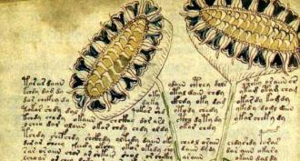 Manuscrisul Voynich - cel mai misterios manuscris din lume Premiul pentru cheia cifrului Voynich