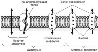 Trasporto attivo di ioni e molecole attraverso la membrana