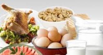Protein diet for weight loss during training: a detailed menu